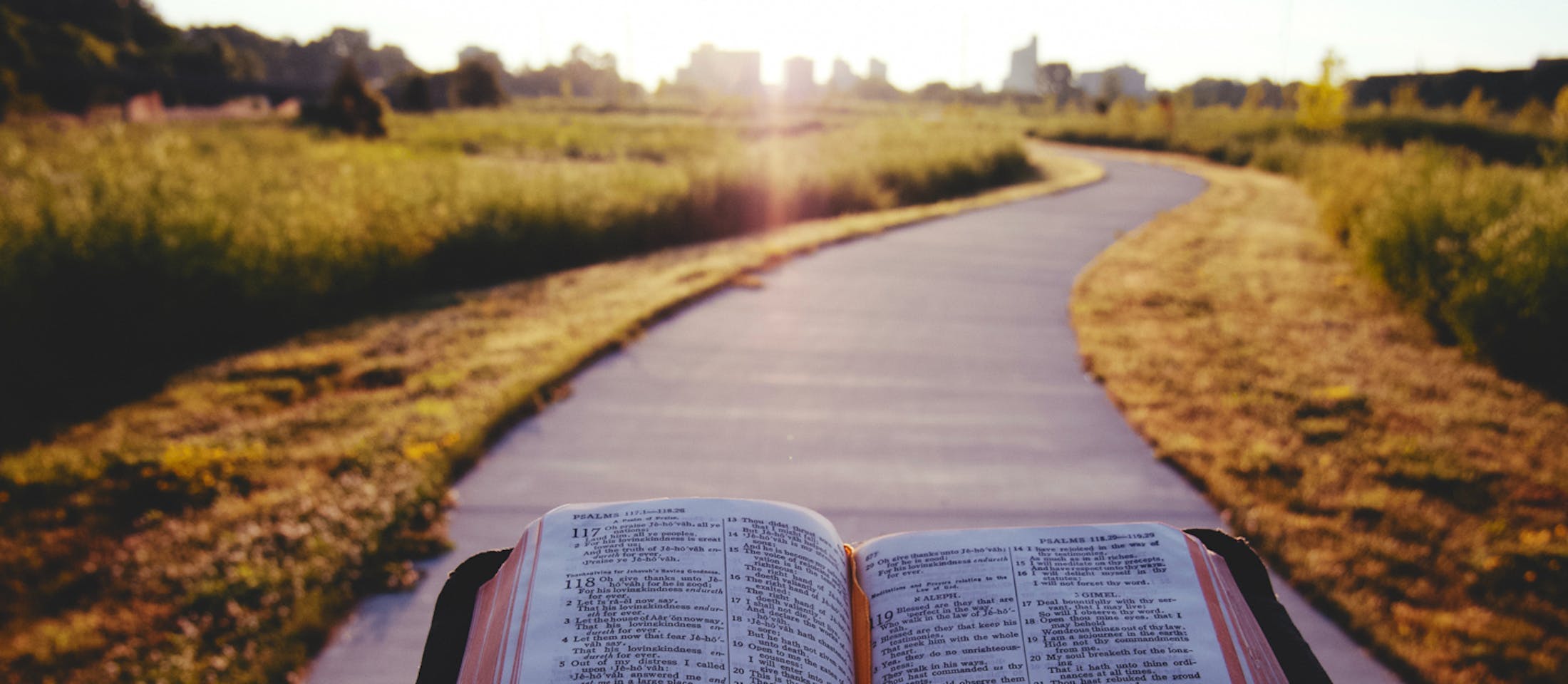 bible path