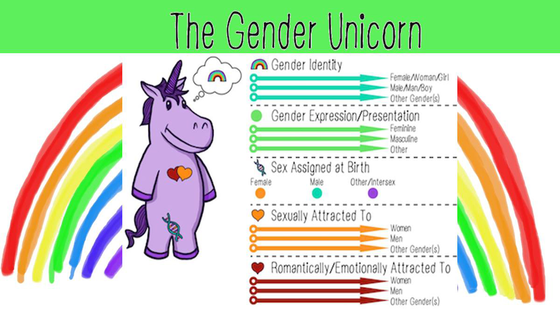 Gender Fluid, Gender Unicorn, and Gender Madness in Our Schools | Ask Dr. Brown